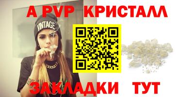 прущие грибы Лесосибирск