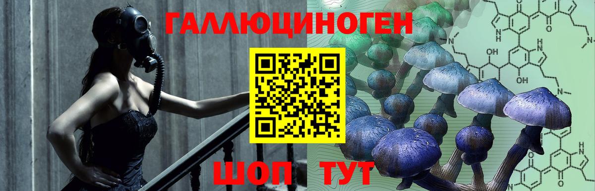 Галлюциногенные грибы GOLDEN TEACHER Каспийск